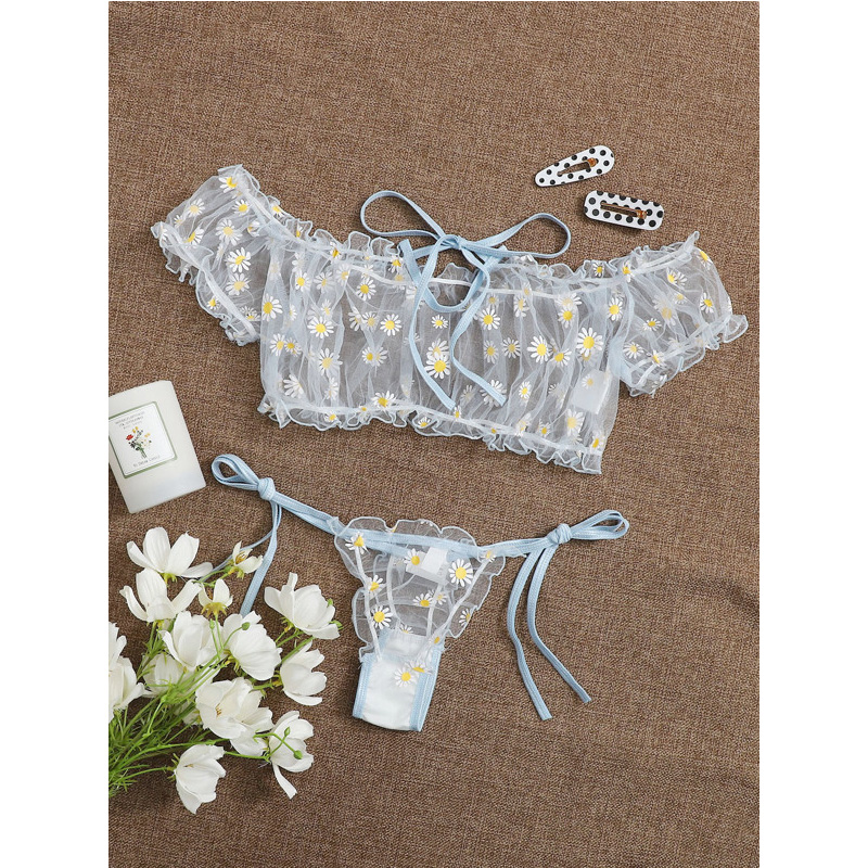 Sexy Lace Transparent Lingerie - Sheer Bra Lace review and price